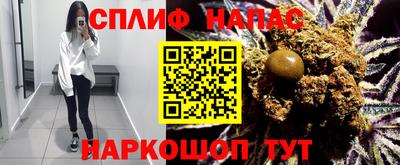 мдпв Брянск