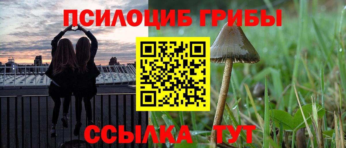 Галлюциногенные грибы Magic Shrooms  что такое наркотик  Псилоцибиновые грибы Cubensis  Асбест  Вход с VPN 